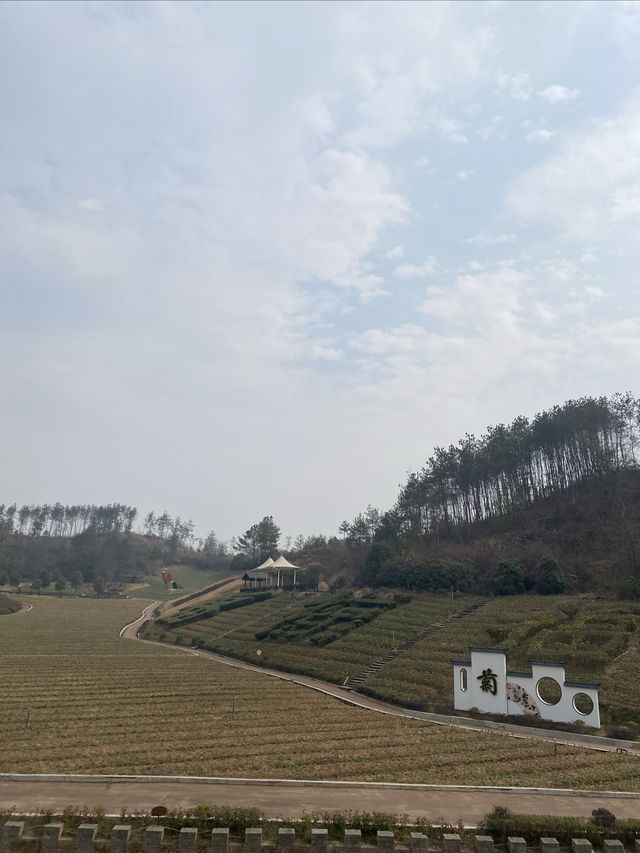 《麻城清遠山莊金福酒店旅遊體驗》
