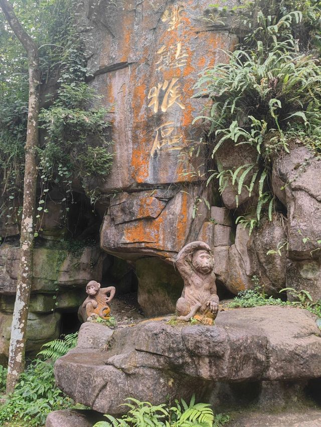 峨眉山冬日遊：雪景如畫 正是遊玩好時機