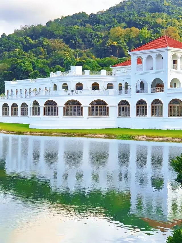 一不小心掉進鬱金香花海裏