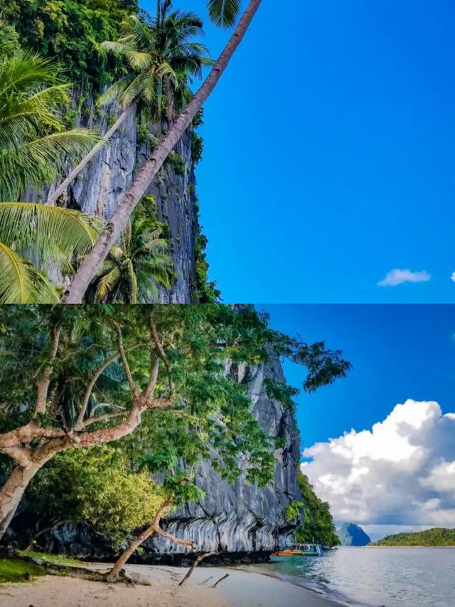 亞眉綺夢·解鎖海島秘境之旅