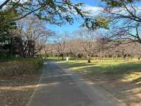 必去！國營昭和紀念公園一日漫遊