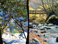 探秘日本德島祖谷蔓橋｜穿越歷史的藤蔓之約