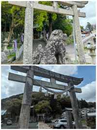 日本對馬市：神秘的海上秘境，一趟別樣的日本之旅