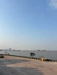 上海濱江森林公園