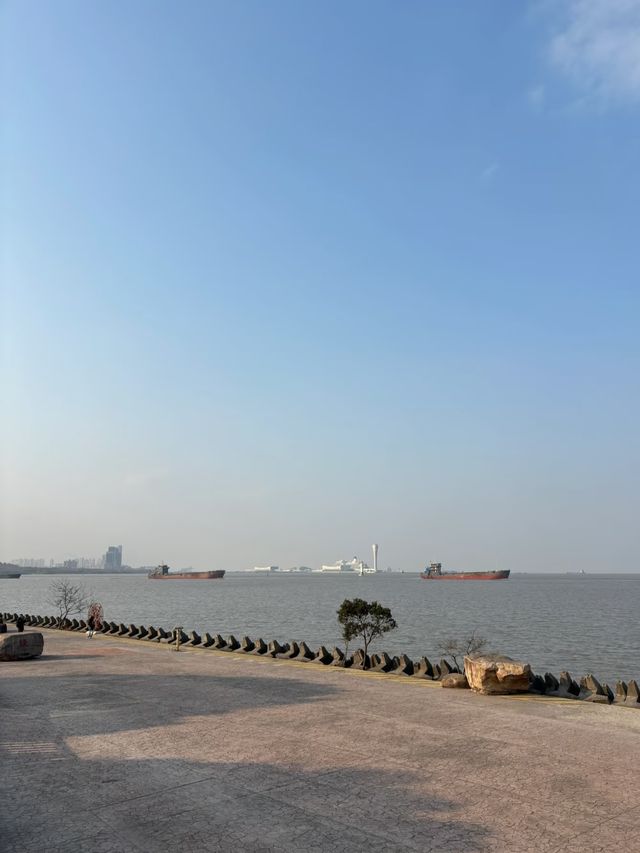上海濱江森林公園