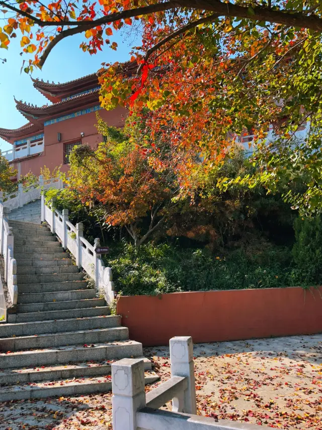 A 2-Day Trip to Xiangyang During the Qingming Festival: Your Go-To Guide