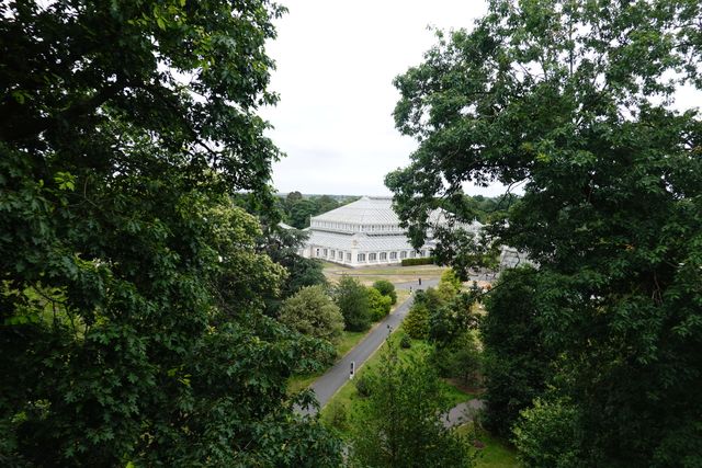 Exploring the Treetop Walkway at Kew Gardens