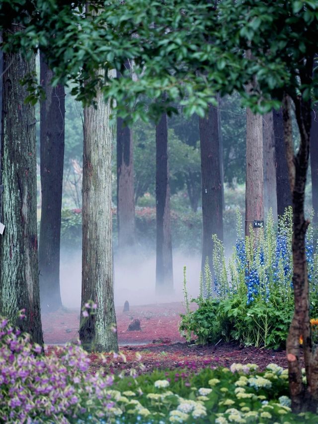 春季家庭遊中山植物園，小白必看