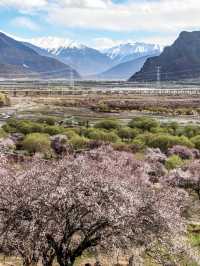 林芝等地適合老年人的悠閒旅遊攻略別錯過
