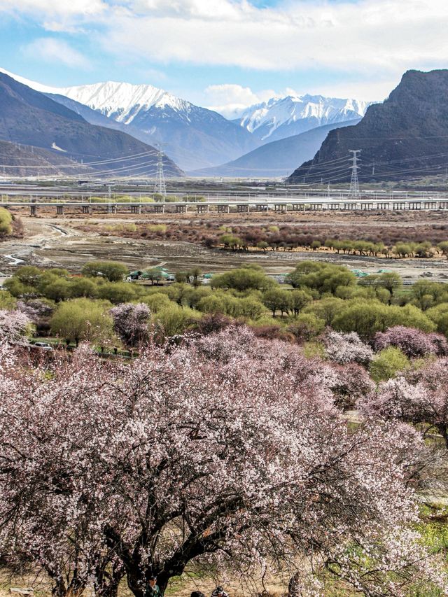 林芝等地適合老年人的悠閒旅遊攻略別錯過