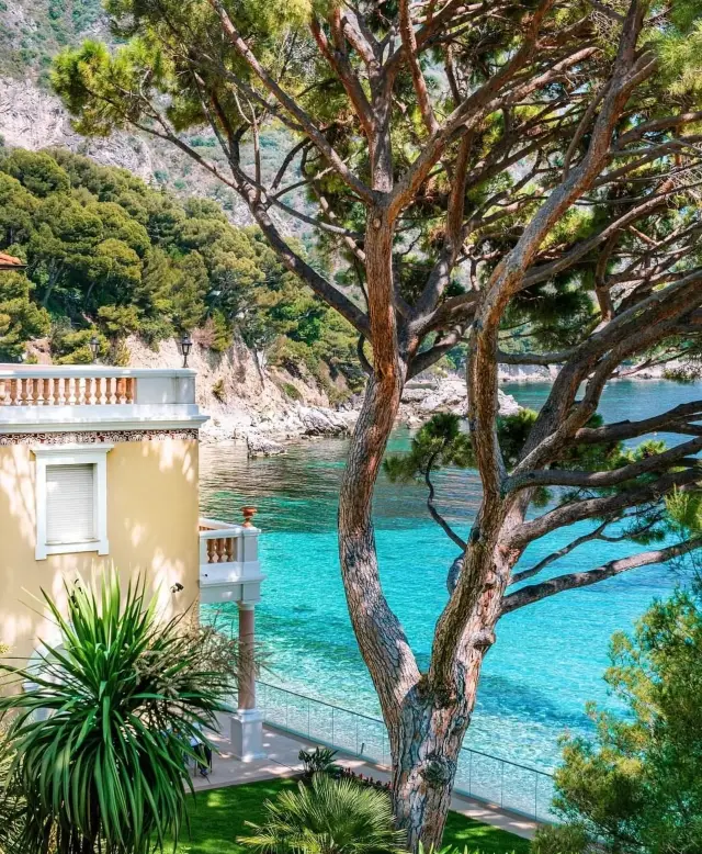 Head to the Côte d'Azur and experience French romance.