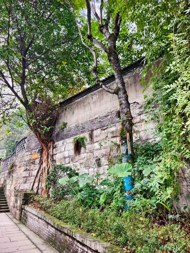 南岸區     下浩里（下浩老街）