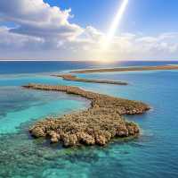 達曼珊瑚島：沙特阿拉伯的海濱明珠之旅