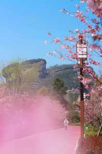 被武夷山春日City Walk路線美哭！