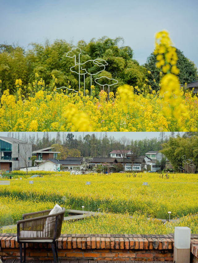 成都周邊|油菜花田如油畫般～