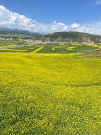 小長假去西寧等地 避雷指南快啲攞走