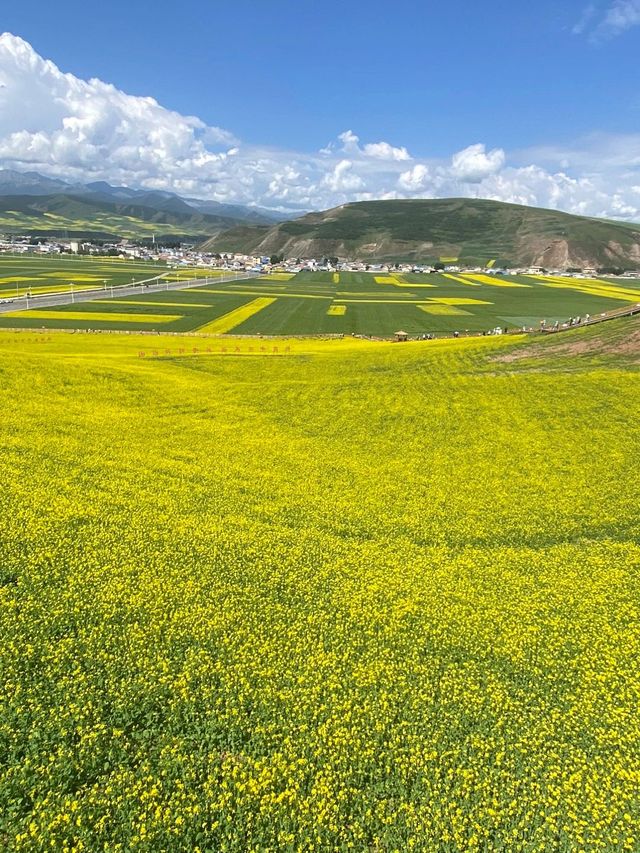 小長假去西寧等地 避雷指南快啲攞走