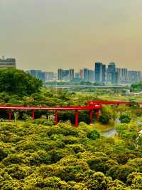 深圳最美的虹橋公園！！