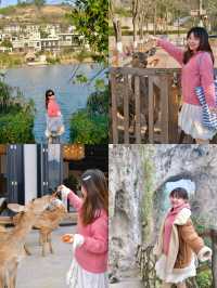 重慶周邊遊|入住小西湖，和小鹿一起吃早餐