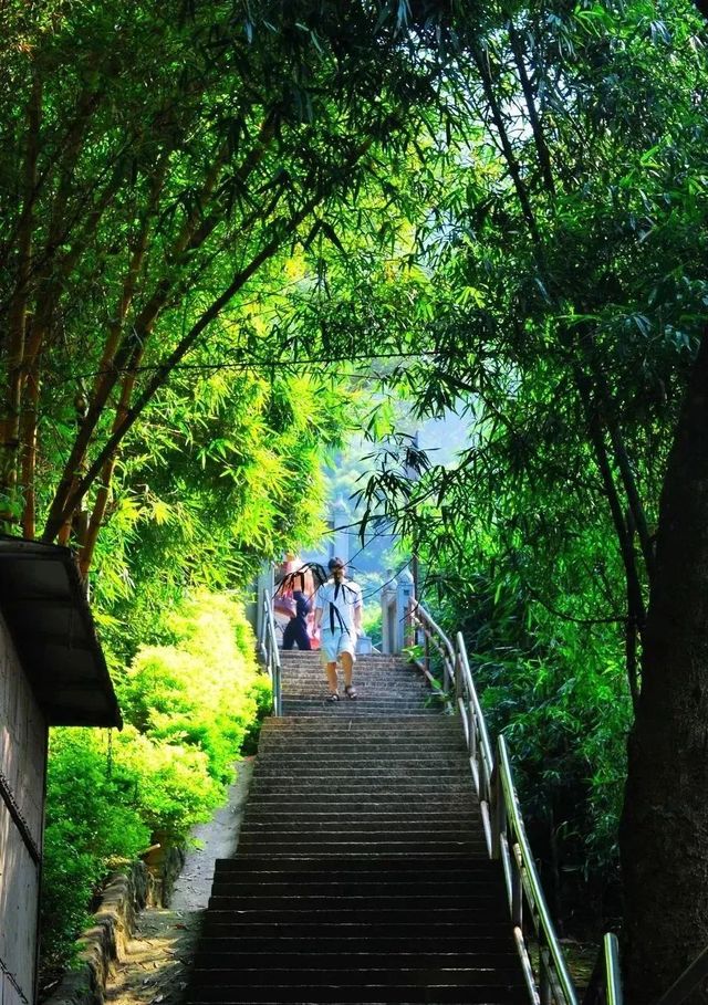 春日探索指南來咯！解鎖6個自然打卡點