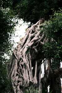 泉州關岳廟 | 一廟雙聖，文武同輝