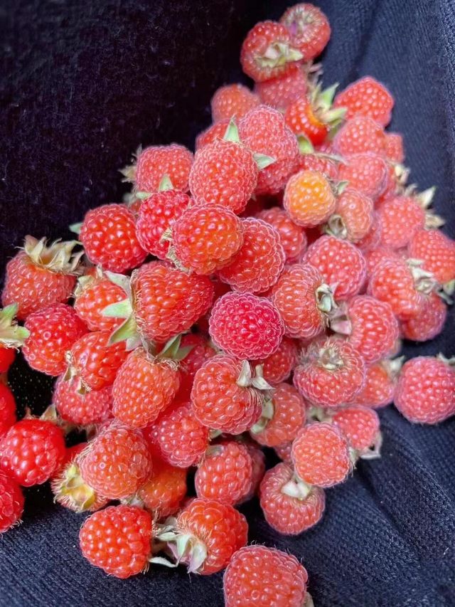 昆明周邊遠足|每週一山，山野行走，親近自然