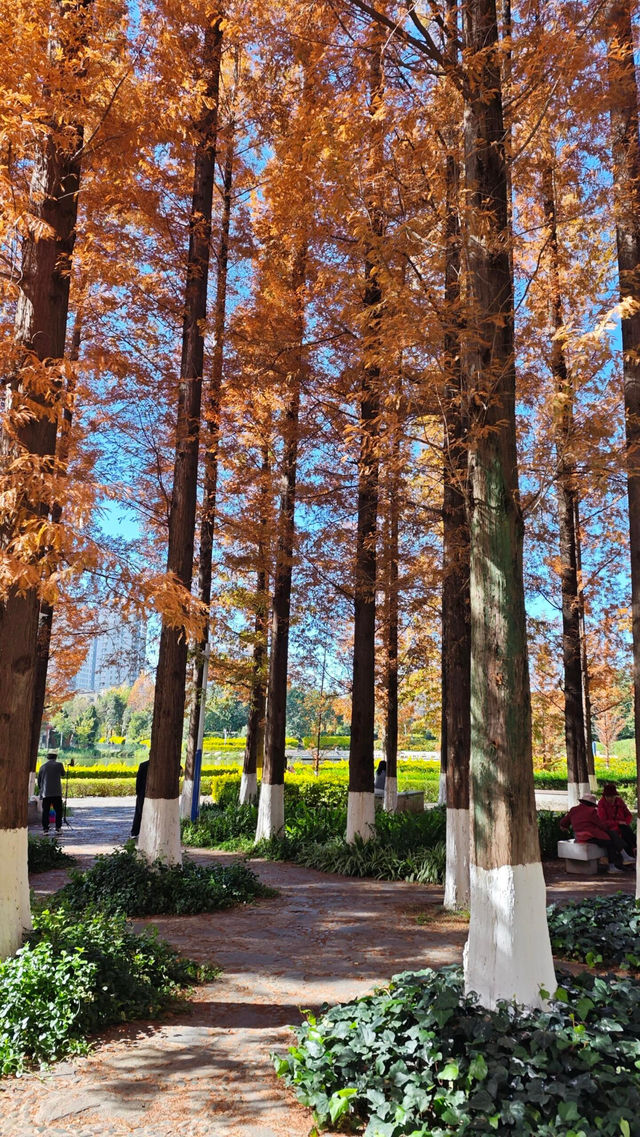 「紅塔山，玉溪的標誌性景點，等你來探索！」