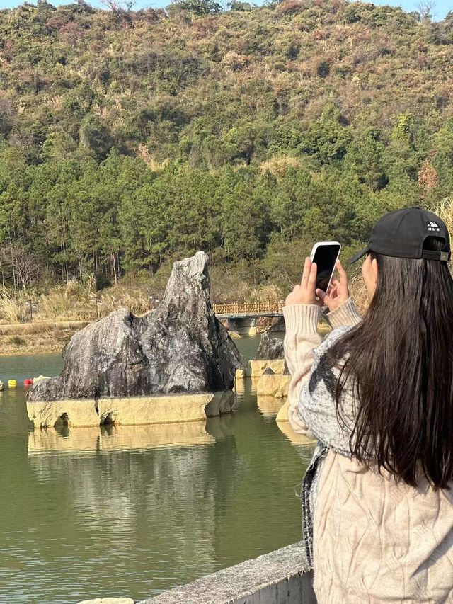 清遠的北歐暮光松林