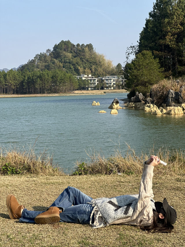 清遠的北歐暮光松林