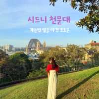 시드니 일몰은 꼭 여기서 보세요‼️