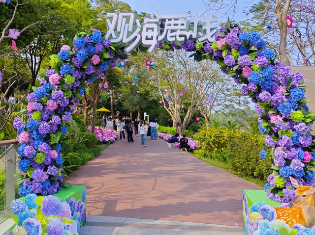 ✨天氣好的珠海，真的太適合出來拍拍拍啦！