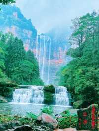 賞花採果之旅，體驗田園樂趣