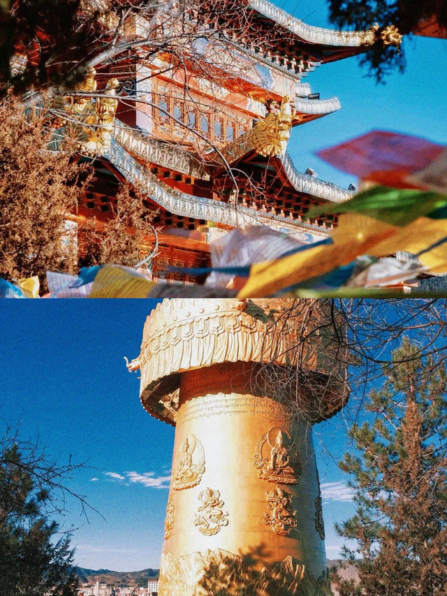 五一刷瘋了！都問我是不是去了西藏！