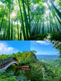 蜀南竹海：被竹林包裹的東方翡翠王國