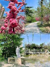邂逅浪漫花海，濰坊人民公園春日限定