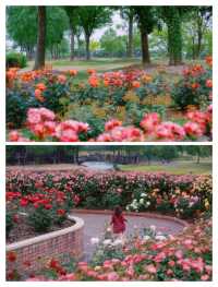 上海五一限定版「莫奈花園」靚到窒息！快啲嚟！