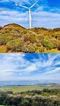 烏蒙草原hea遊日記：騎馬睇雲，躺平數羊