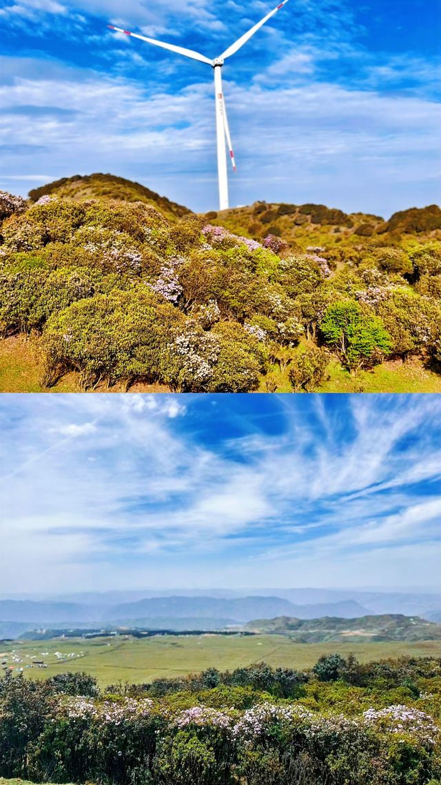 烏蒙草原hea遊日記：騎馬睇雲，躺平數羊