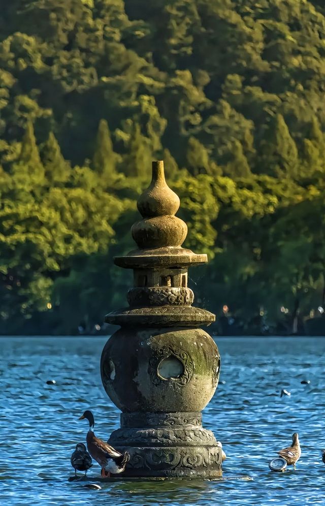 住進西湖的詩意，解鎖杭城浪漫