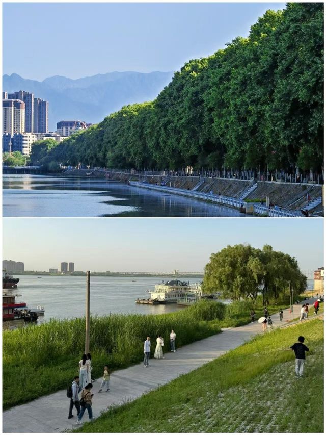 九江受罪已回，講啲難聽大實話