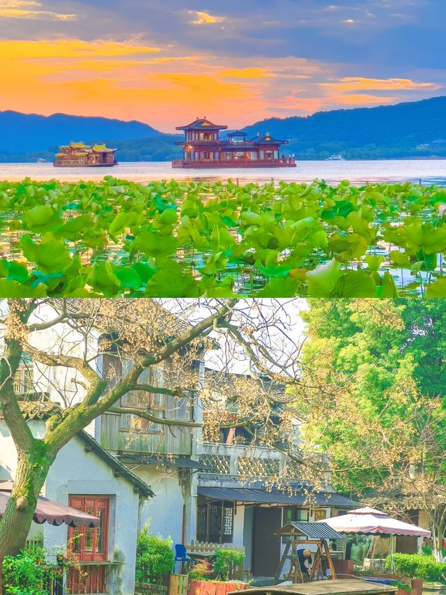 《漫步人間天堂：赴一場西湖煙雨中的千年之約》
