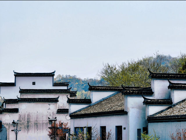 安徽｜西遞古村，算得上是徽派建築的巔峰之作嗎？