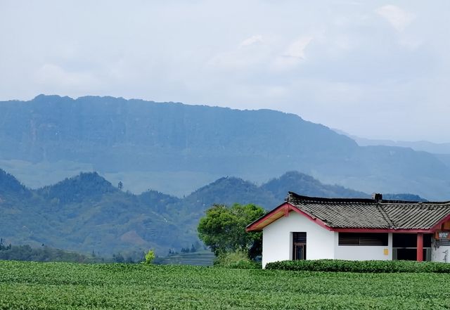 成都小江南