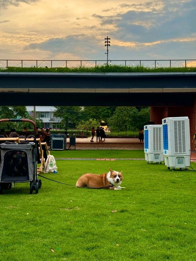 朱拉隆功大學百年世紀公園露天電影交通攻略｜赴一場星空下的溫暖之約