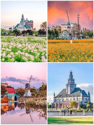 「塩城、タンチョウヅルに選ばれた街！」