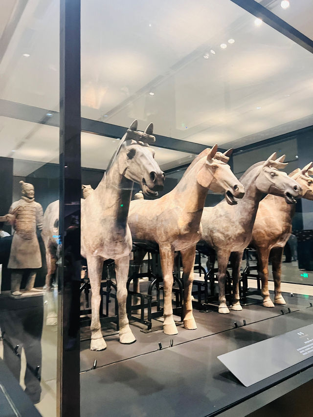 🗡️ 8,000 Soldiers, One Emperor—Terracotta Wonder 