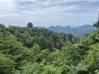 Magical 4 days in Zhangjiajie Park 