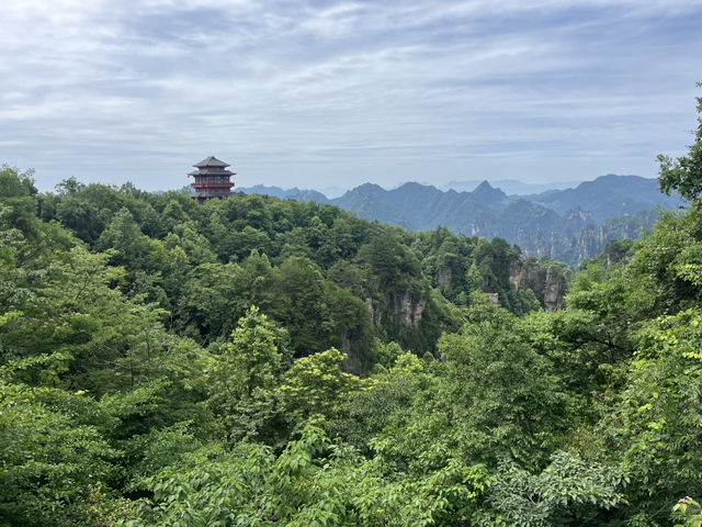 Magical 4 days in Zhangjiajie Park 