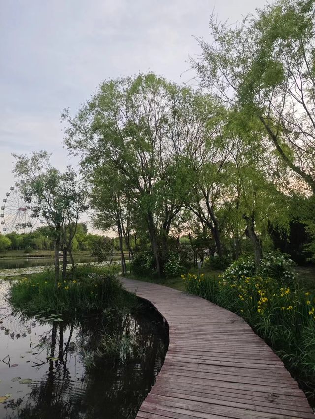 濰坊白浪綠洲：城市中的天然氧吧