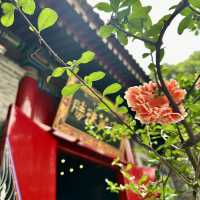 Bustling Xi’an 🏯🏮